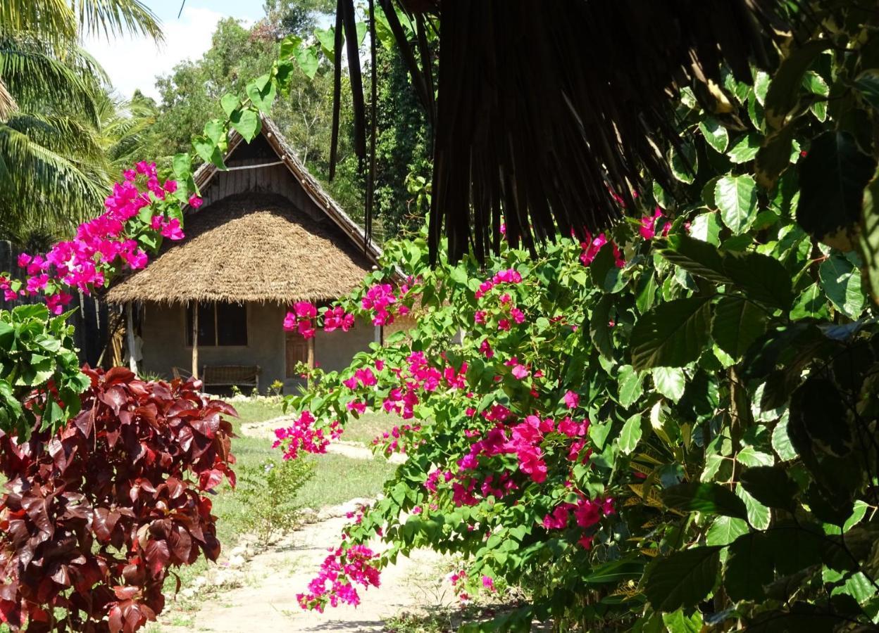 Jabar Lodge Zanzibar Exterior photo